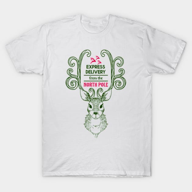 Express delivery from the North Pole T-Shirt by bubble_designer